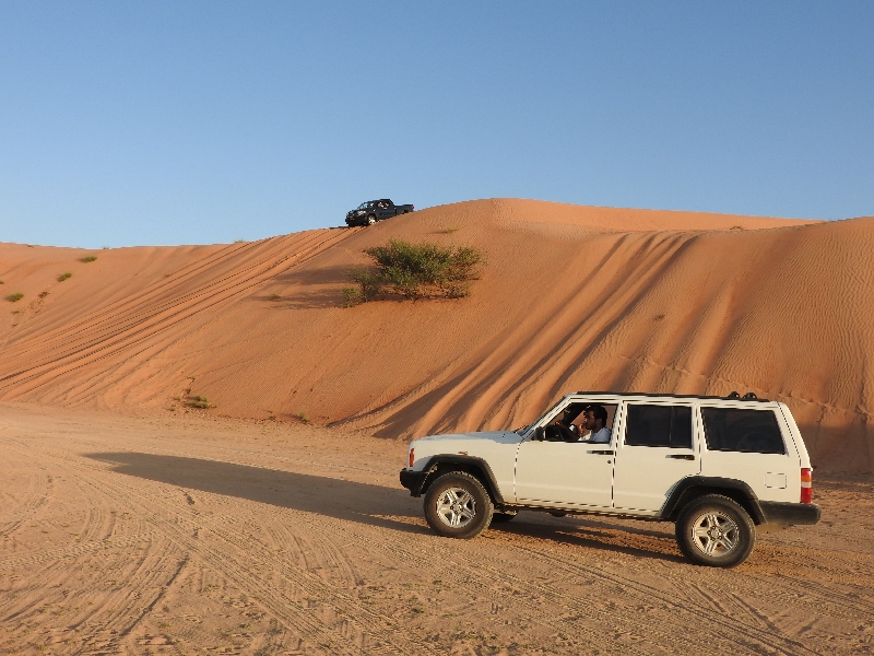 12 Wahiba Sands Desert